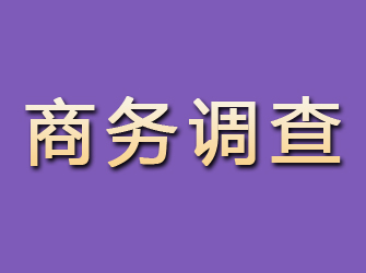 江西商务调查